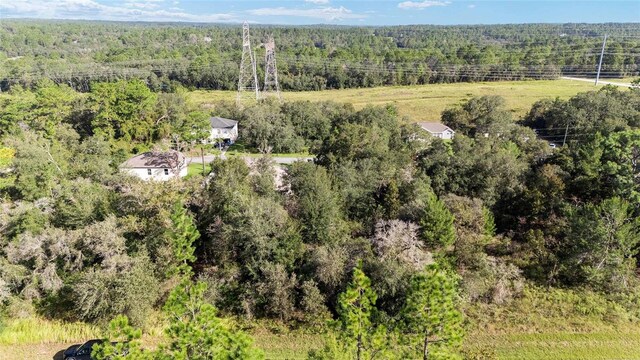 2771 W Fillmore St, Citrus Springs, FL 34433 - photo 4