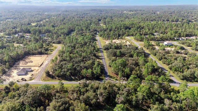 2771 W Fillmore St, Citrus Springs, FL 34433 - photo 5