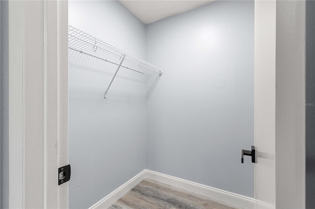 spacious closet featuring wood-type flooring