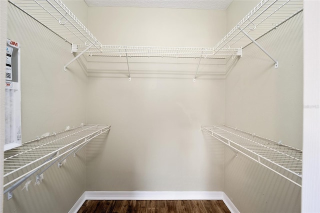 walk in closet with hardwood / wood-style flooring