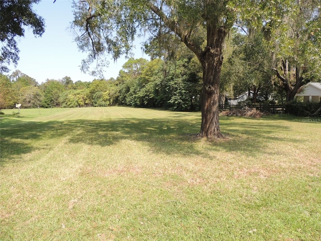 788 NW 4th Ave, Williston FL, 32696 land for sale