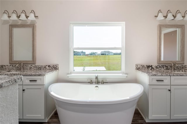 bathroom with vanity, a tub to relax in, and wood-type flooring