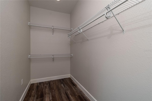 walk in closet featuring dark hardwood / wood-style flooring