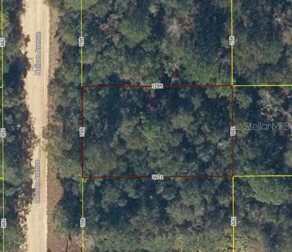 LOT17 Neilsen Ave, Interlachen FL, 32148 land for sale