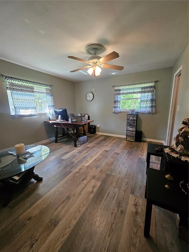 office with ceiling fan and hardwood / wood-style floors