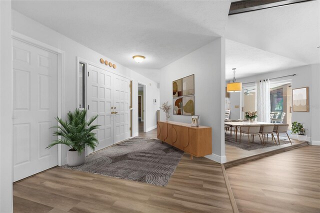 foyer with wood-type flooring