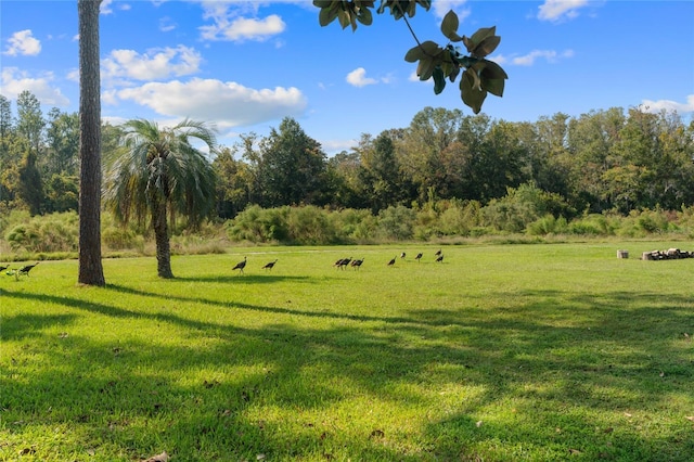 exterior space featuring a rural view and a yard