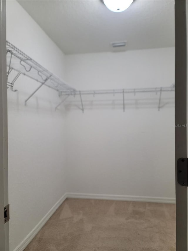 spacious closet featuring carpet flooring