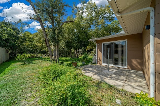 view of yard featuring a patio