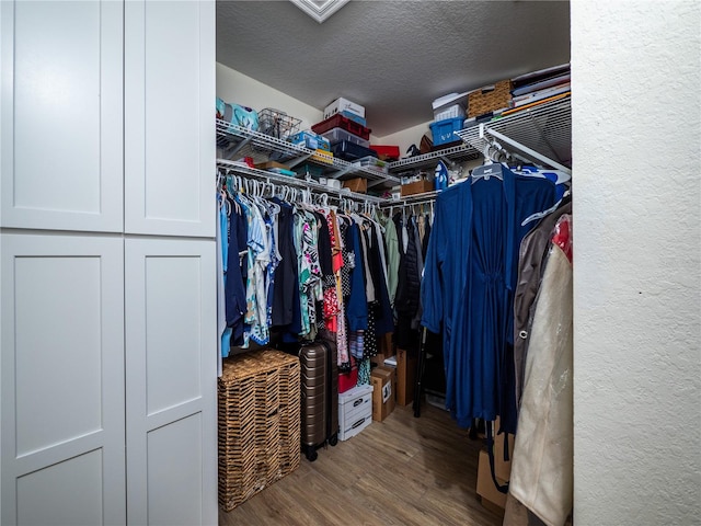 walk in closet with wood-type flooring