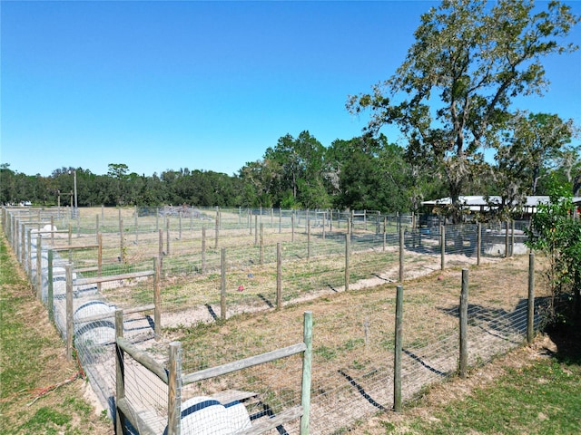 view of yard featuring a rural view