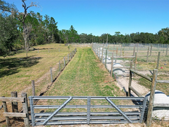 view of yard featuring a rural view