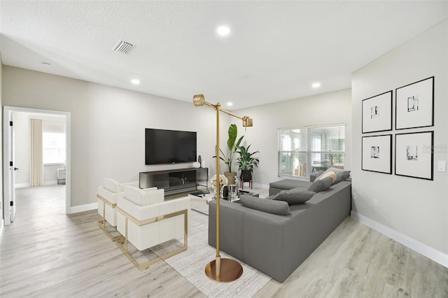 living room featuring a healthy amount of sunlight, a textured ceiling, and light hardwood / wood-style flooring