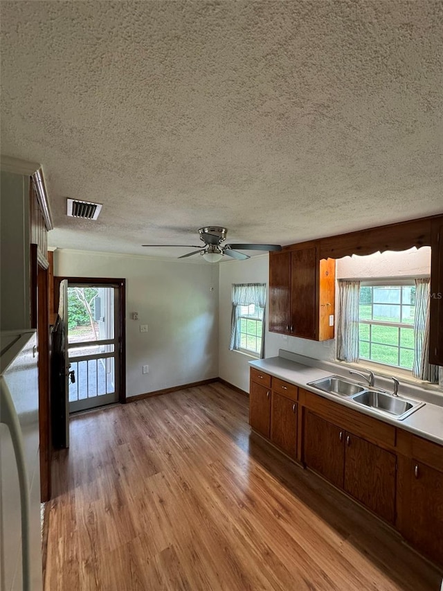 kitchen featuring a wealth of natural light, sink, a textured ceiling, and light wood-type flooring