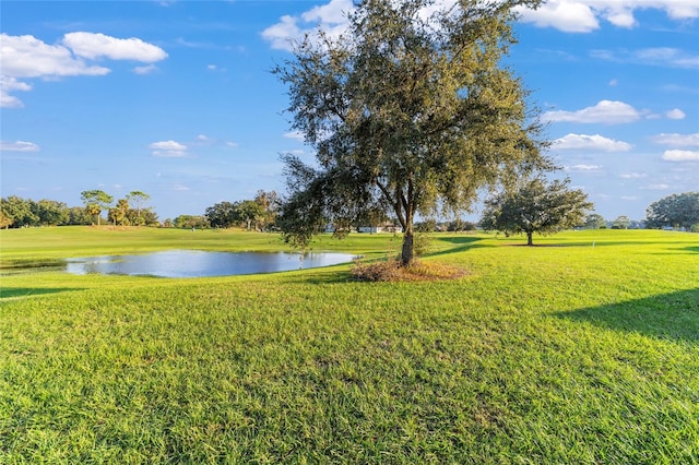 view of yard with a water view