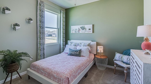 bedroom featuring carpet flooring