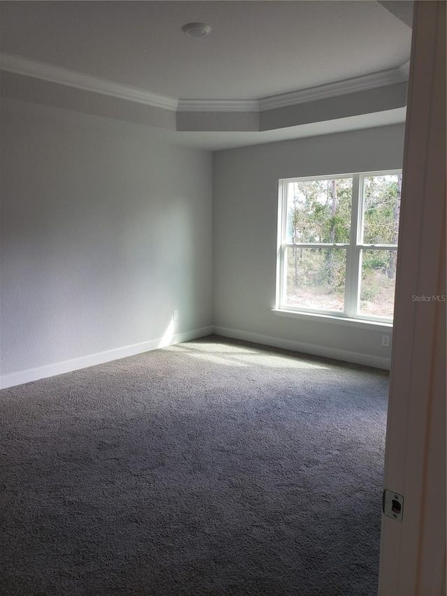 carpeted spare room with ornamental molding and a raised ceiling