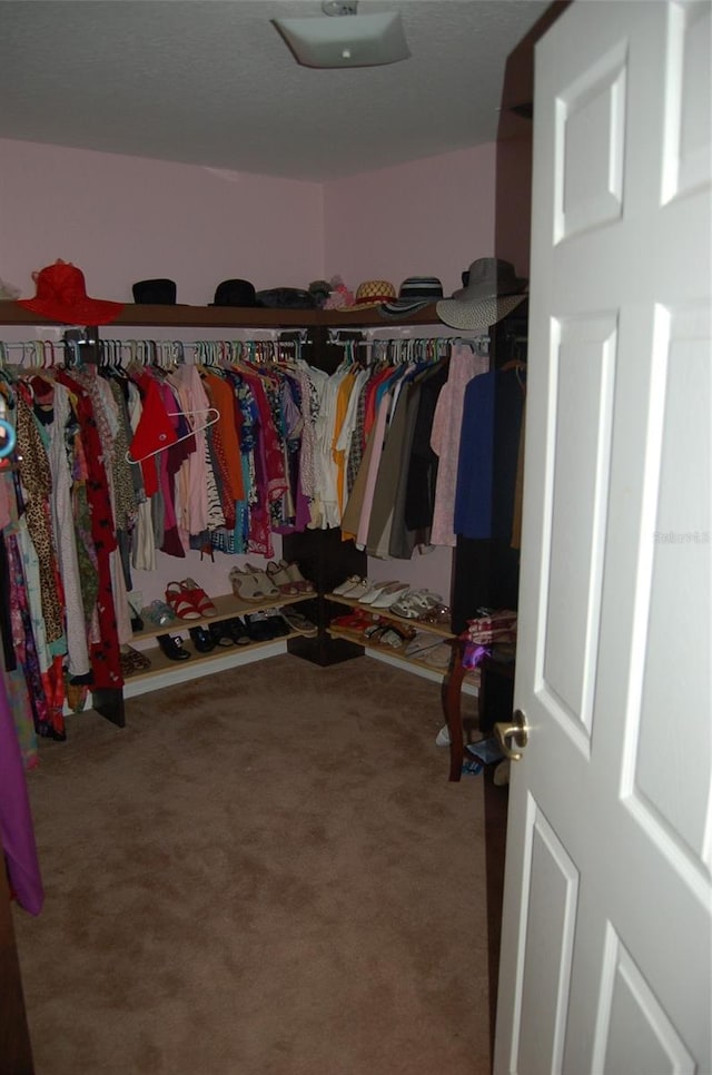 walk in closet with carpet flooring