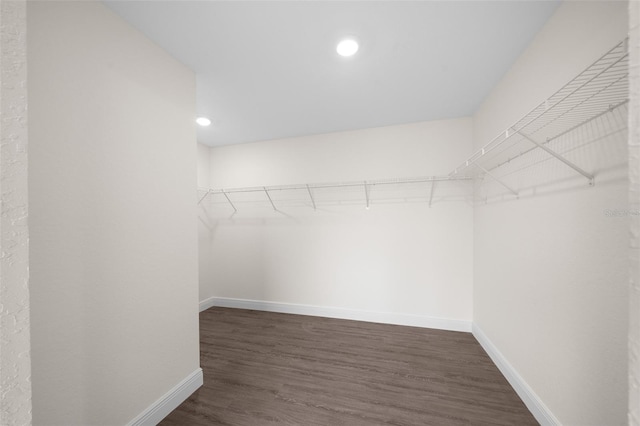 walk in closet with dark hardwood / wood-style floors