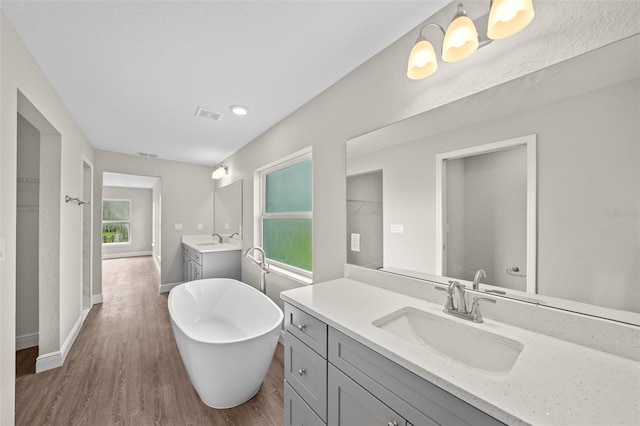 bathroom with two vanities, wood finished floors, visible vents, and a sink