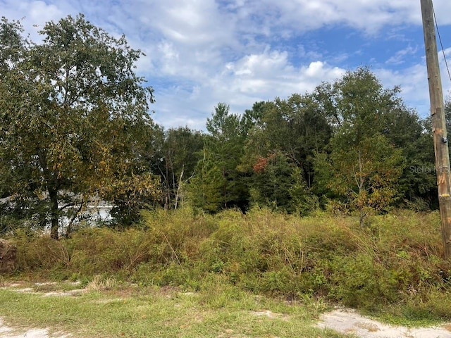 0 NW 8th Pl, Ocala FL, 34482 land for sale