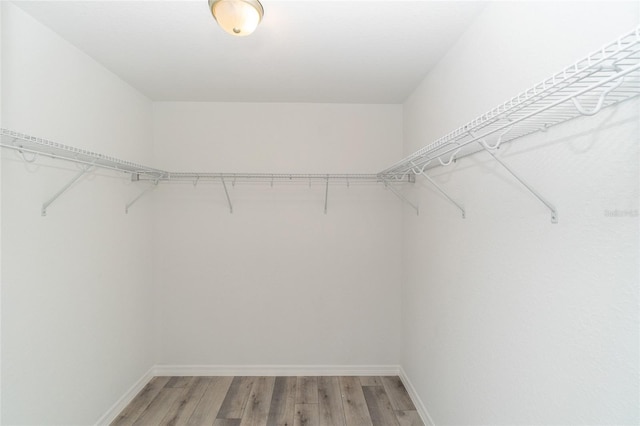 walk in closet with hardwood / wood-style flooring