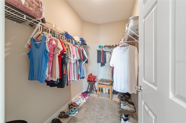 view of walk in closet