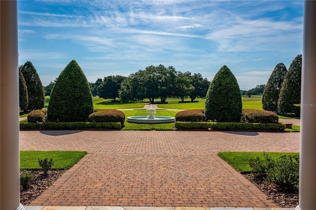 view of community with a yard