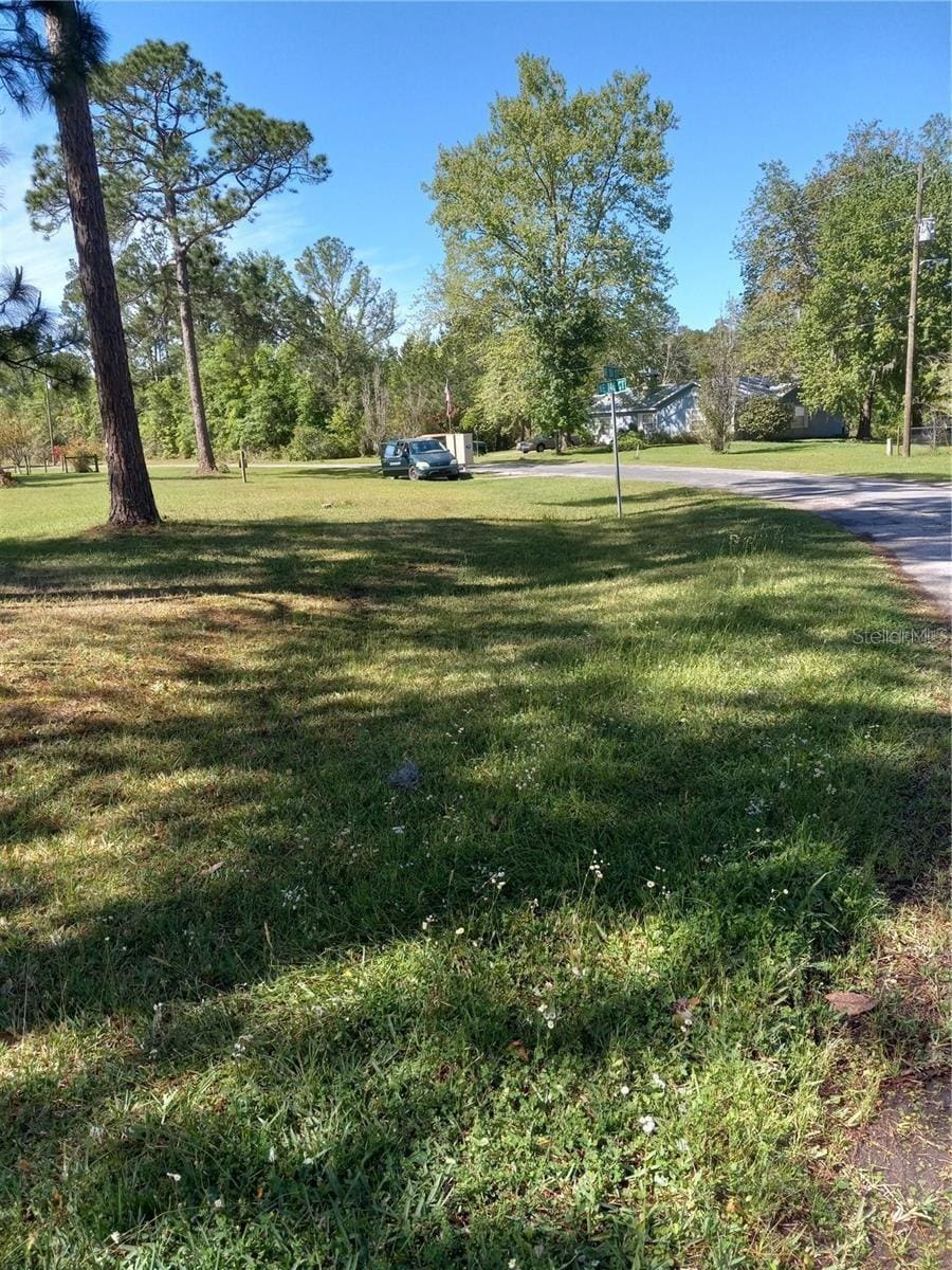 TBD NE 146th Ct, Fort Mc Coy, FL 32134