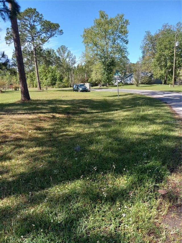 TBD NE 146th Ct, Fort Mc Coy, FL 32134