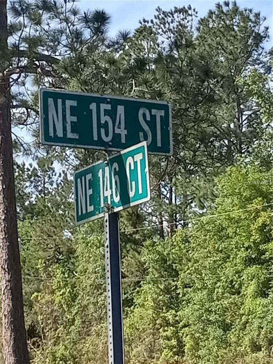 TBD NE 146th Ct, Fort Mc Coy, FL 32134
