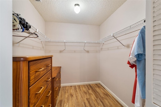 walk in closet featuring light hardwood / wood-style floors