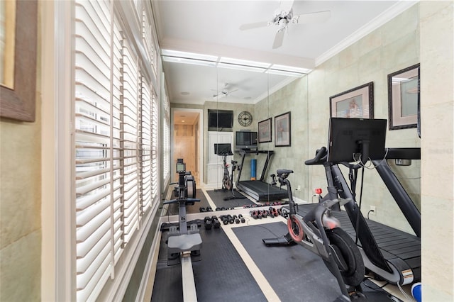 workout room with ceiling fan and ornamental molding