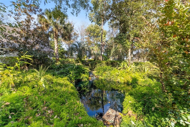 view of landscape with a water view