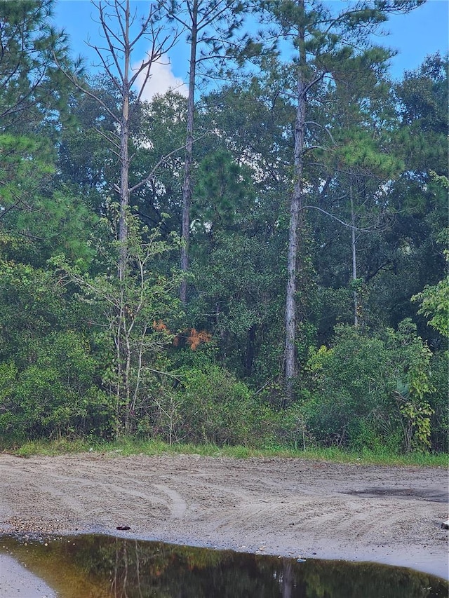 000 Harry Ave, Hastings FL, 32145 land for sale