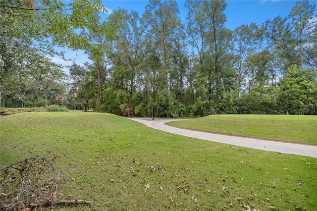 view of property's community featuring a yard