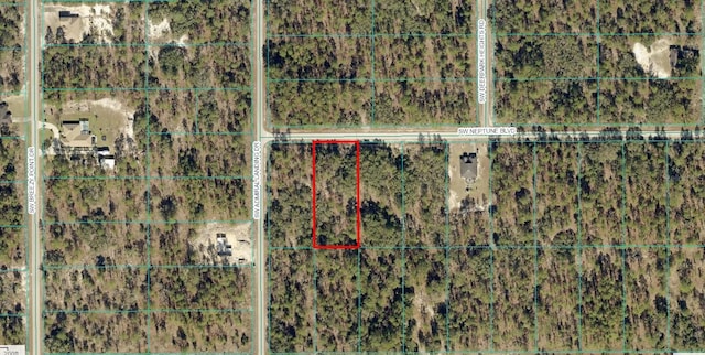 SW Neptune Blvd, Dunnellon FL, 34431 land for sale