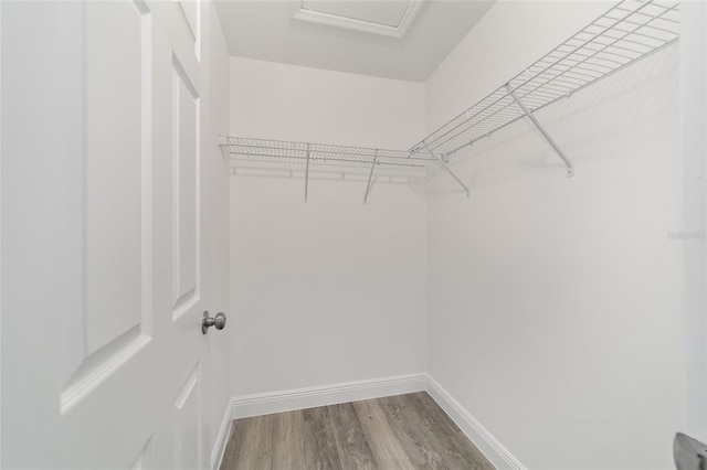 spacious closet featuring hardwood / wood-style floors