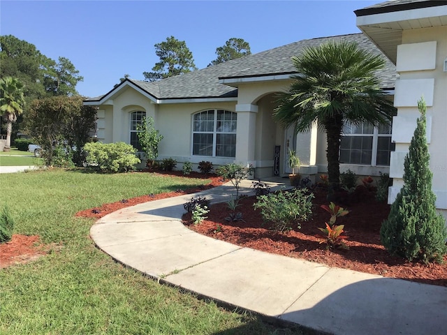 ranch-style home featuring a front lawn