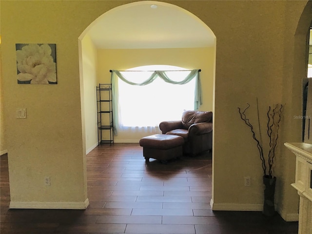 living area with dark wood-type flooring