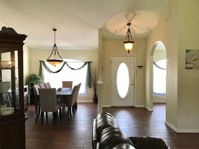 entryway with dark wood-type flooring and a wealth of natural light