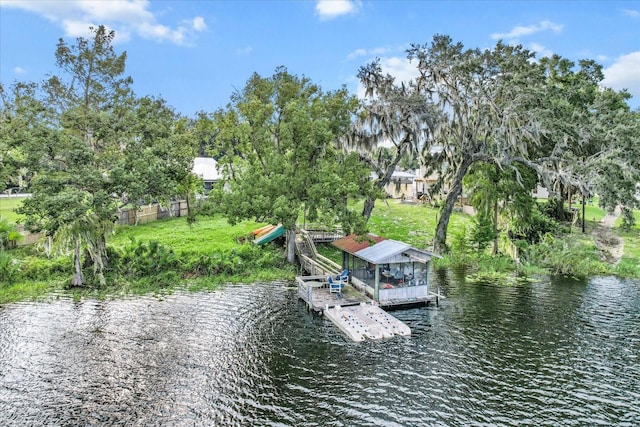 dock area with a water view