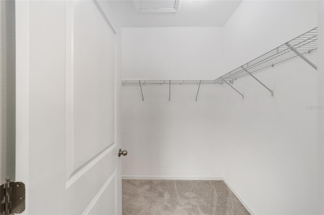 spacious closet with light colored carpet