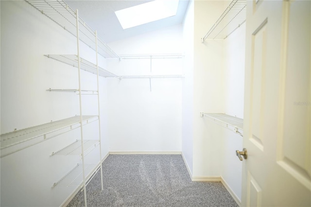 spacious closet featuring lofted ceiling with skylight and carpet