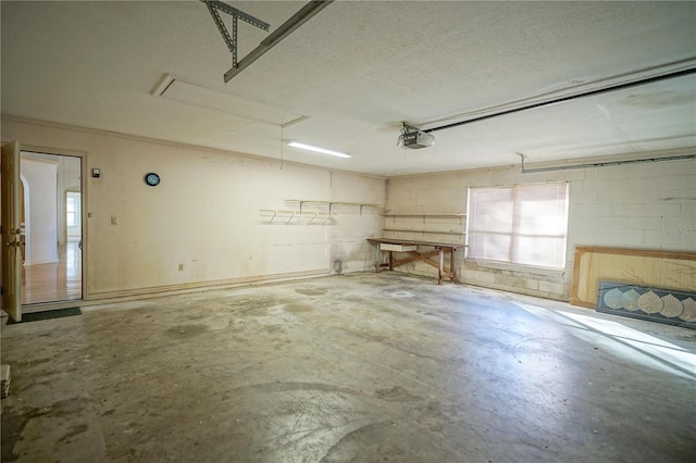 4215 SE 24th Ter, Ocala, FL 34480 - garage featuring a garage door opener