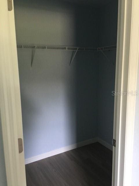 spacious closet with dark wood-type flooring