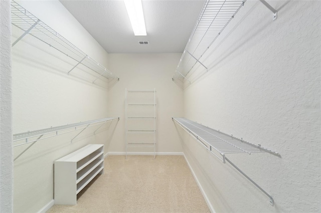 spacious closet featuring carpet floors