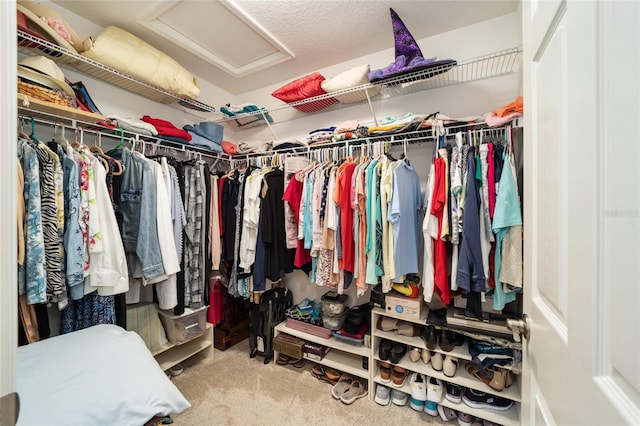 spacious closet featuring carpet floors