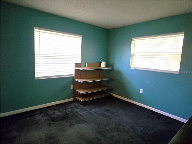 carpeted spare room featuring a textured ceiling and plenty of natural light