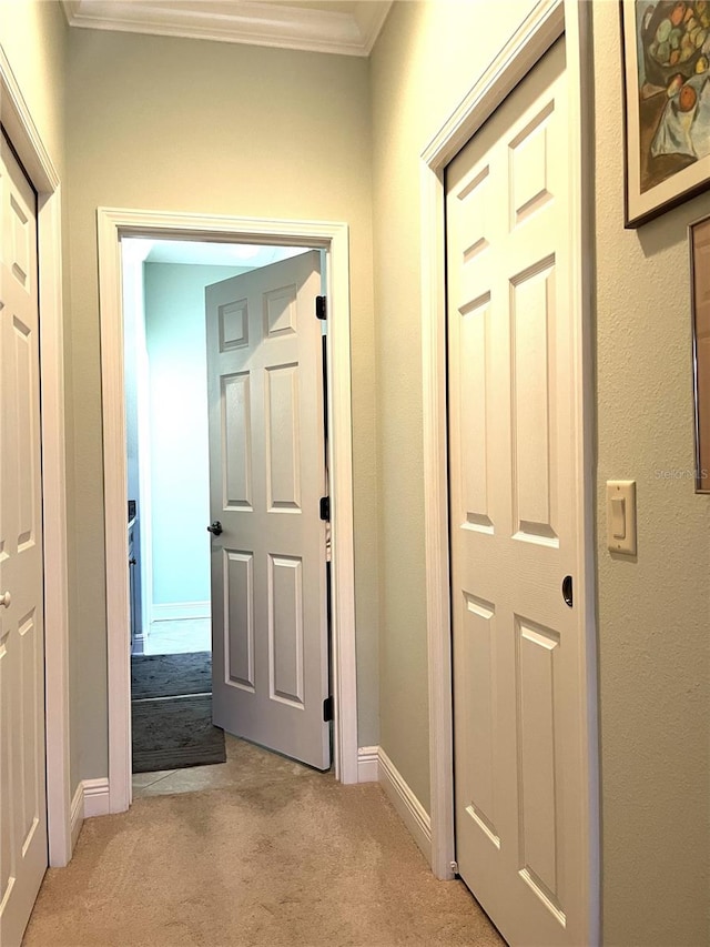 corridor with crown molding and light colored carpet